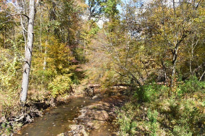 59+/- Acres - 5 Tracts 10-14+/- Acres Each