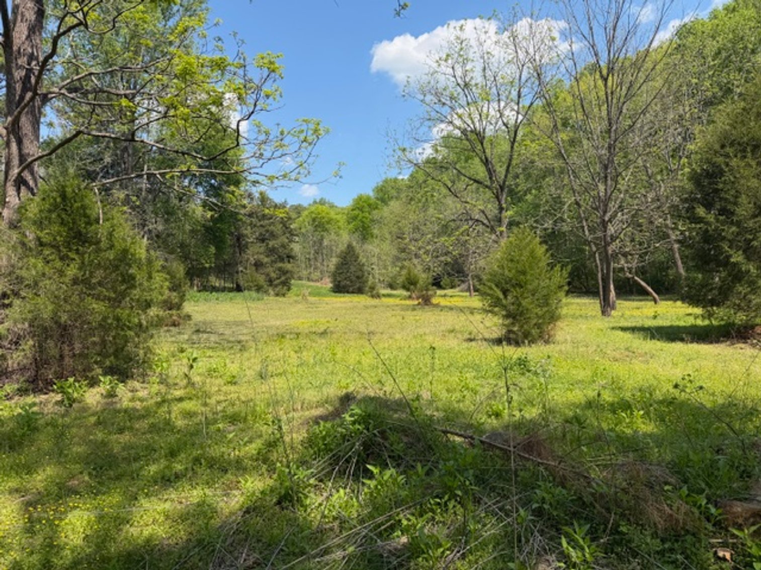 Image for Estate of the Late Ms. Hicks