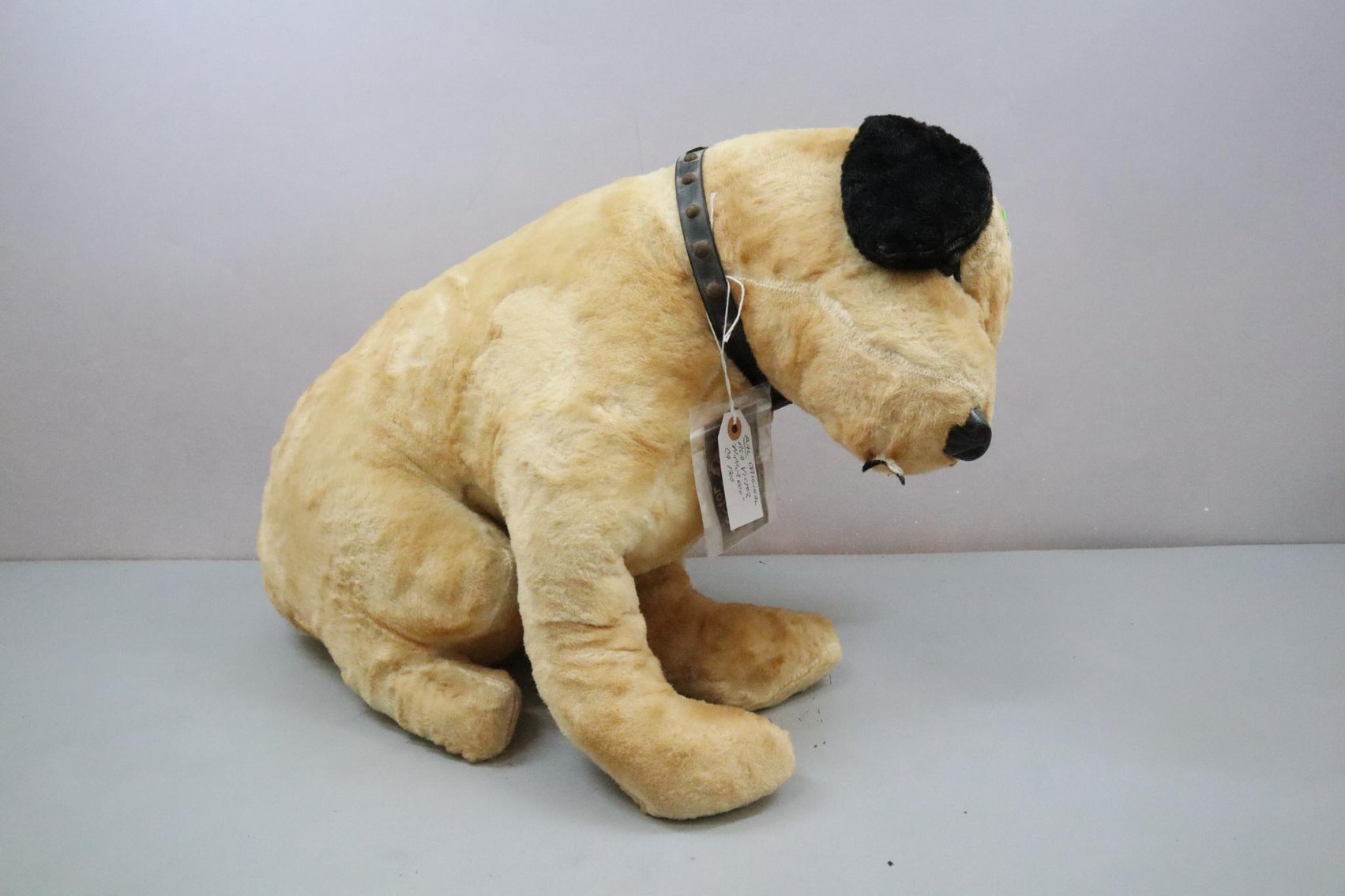 Image for Tinkling Springs Gallery #128