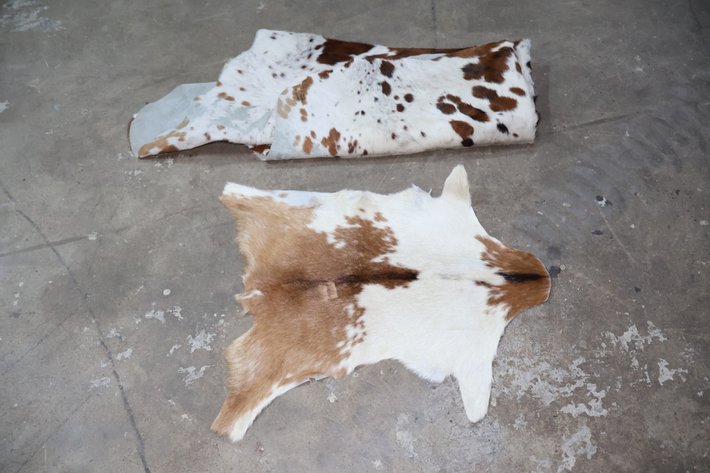 Image for Hidden Treasures Gallery #3154