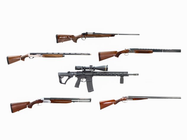 Image for Firearms - January 2026