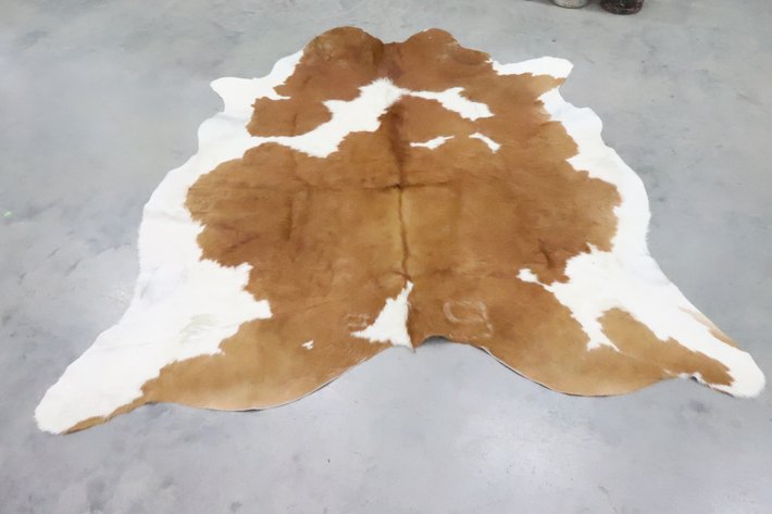 Image for Cold Springs Gallery #4161