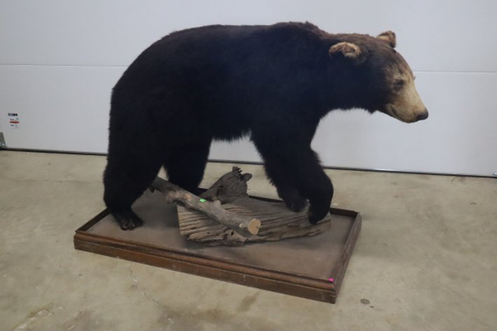 Image for Blue Ridge Gallery #2166