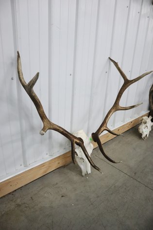 Image for Cold Springs Gallery #2101