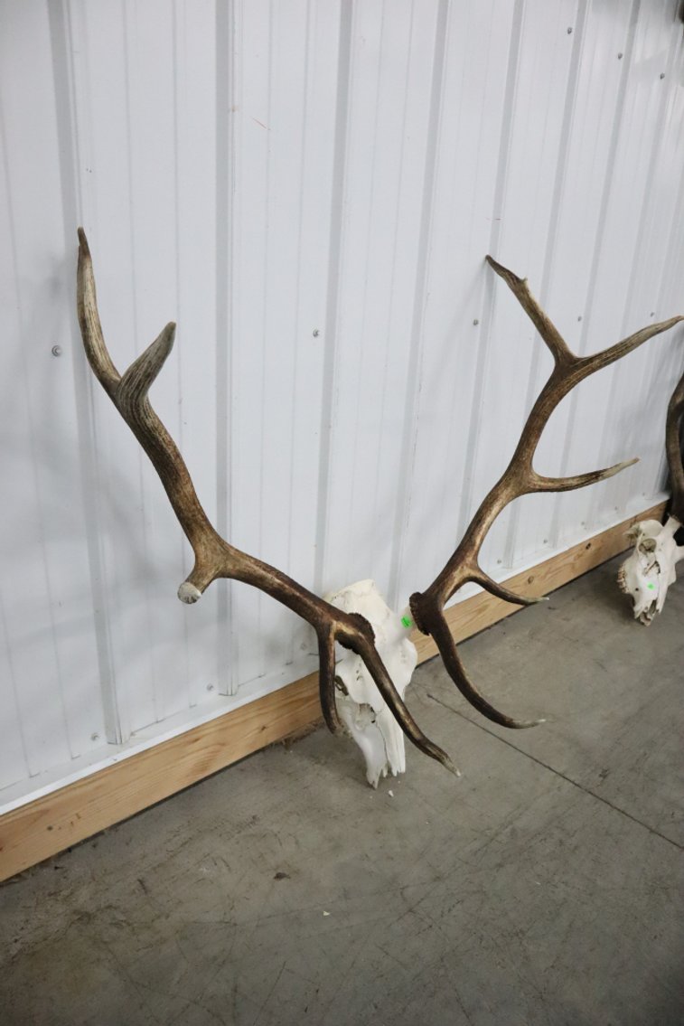 Image for Cold Springs Gallery #2101