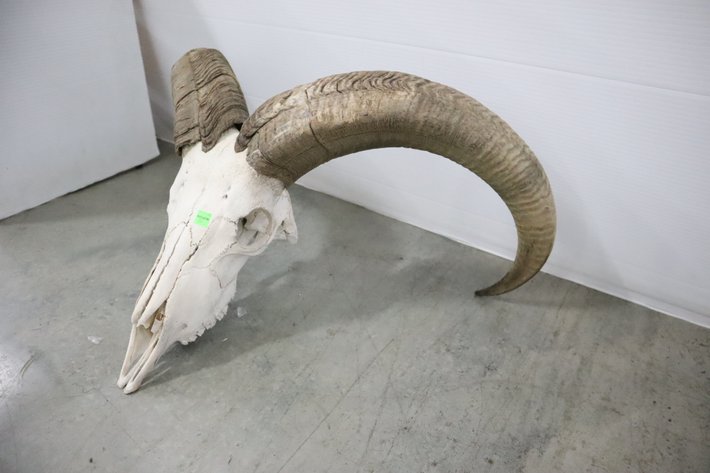 Image for Cold Springs Gallery #2101