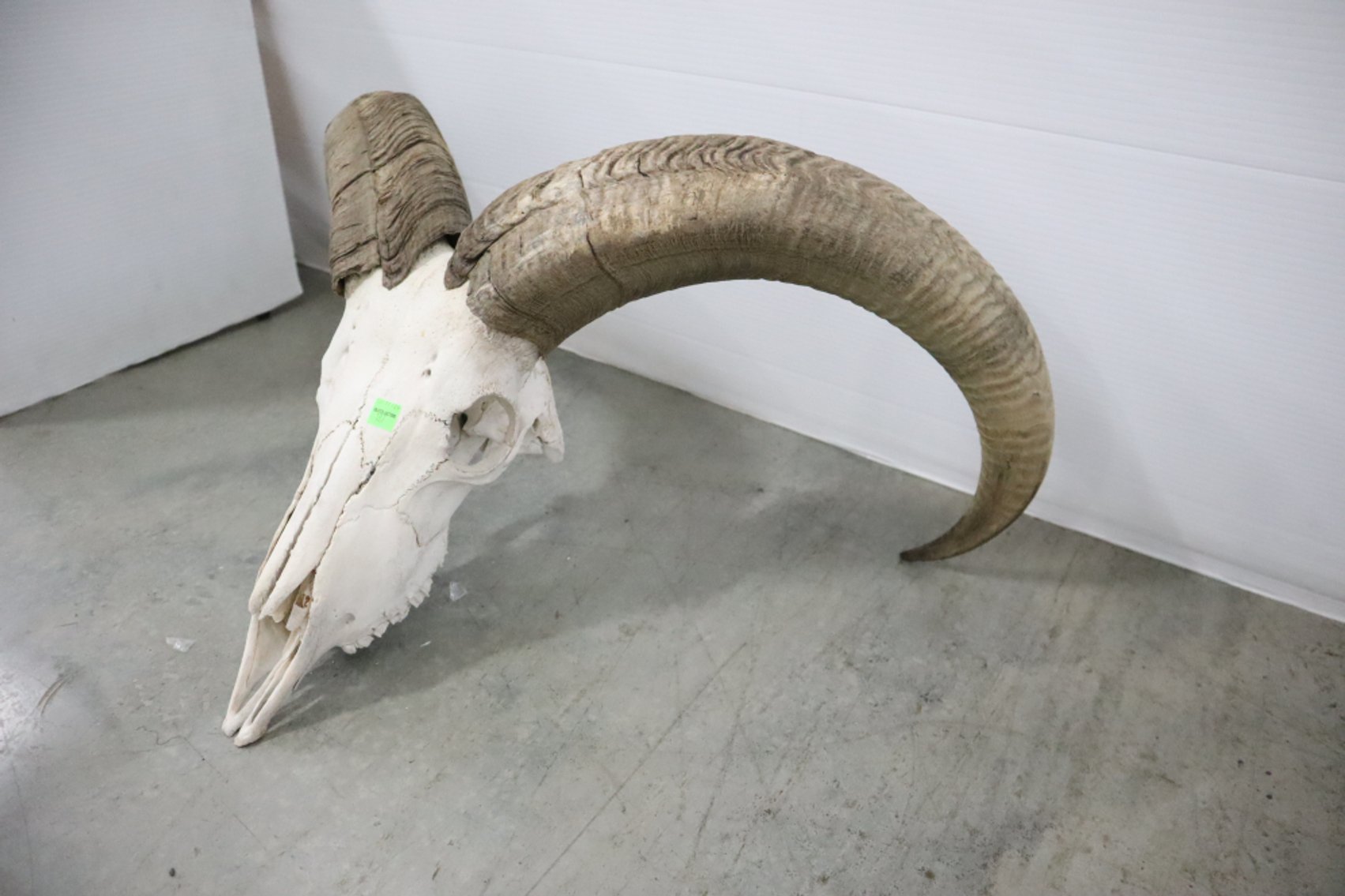 Image for Cold Springs Gallery #2101