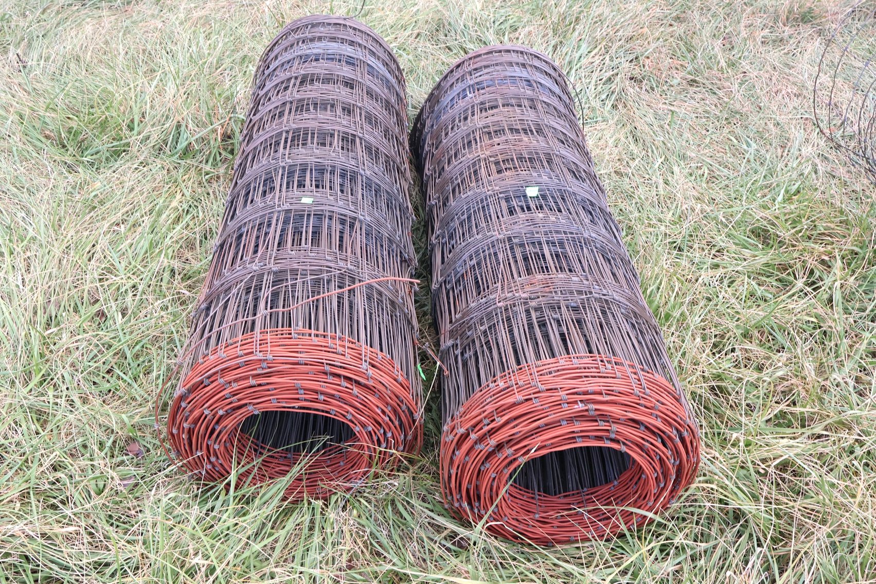 Image for Estate of Colonel 