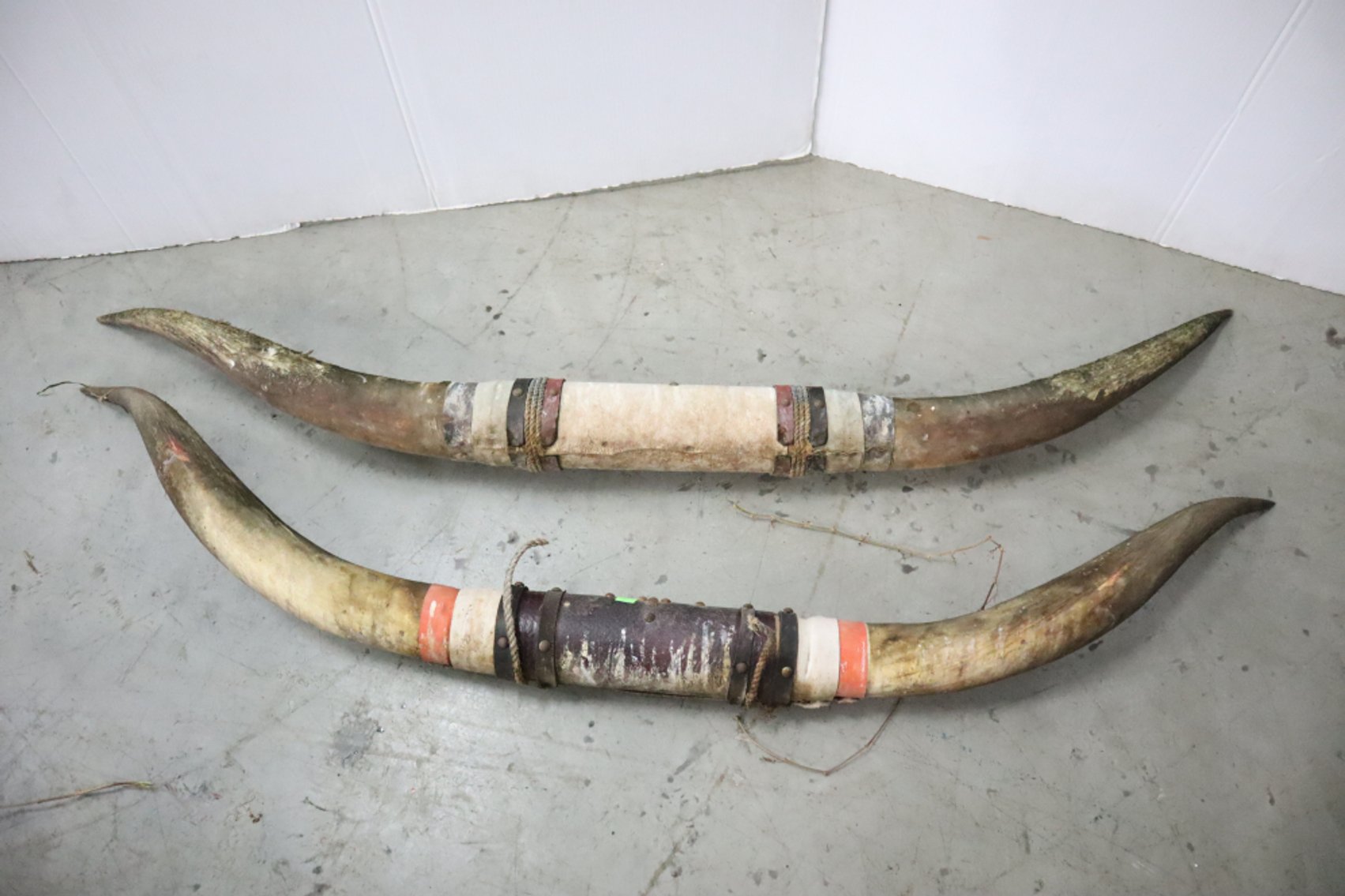 Image for Cold Springs Gallery #2105