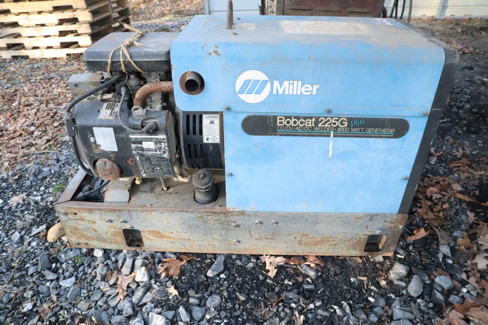 Image for Hidden Treasures Gallery #3113