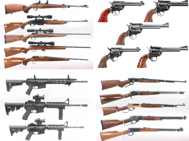 Image for Firearms - March 2025