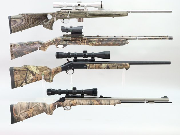 Image for Firearms - March 2025