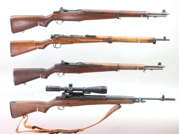 Image for Firearms - March 2025