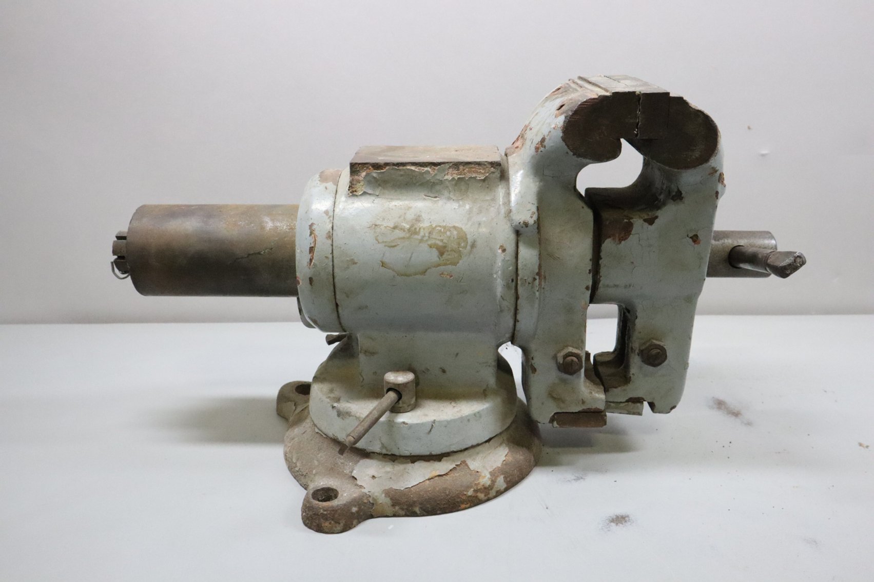 Image for Tinkling Spring Gallery #216