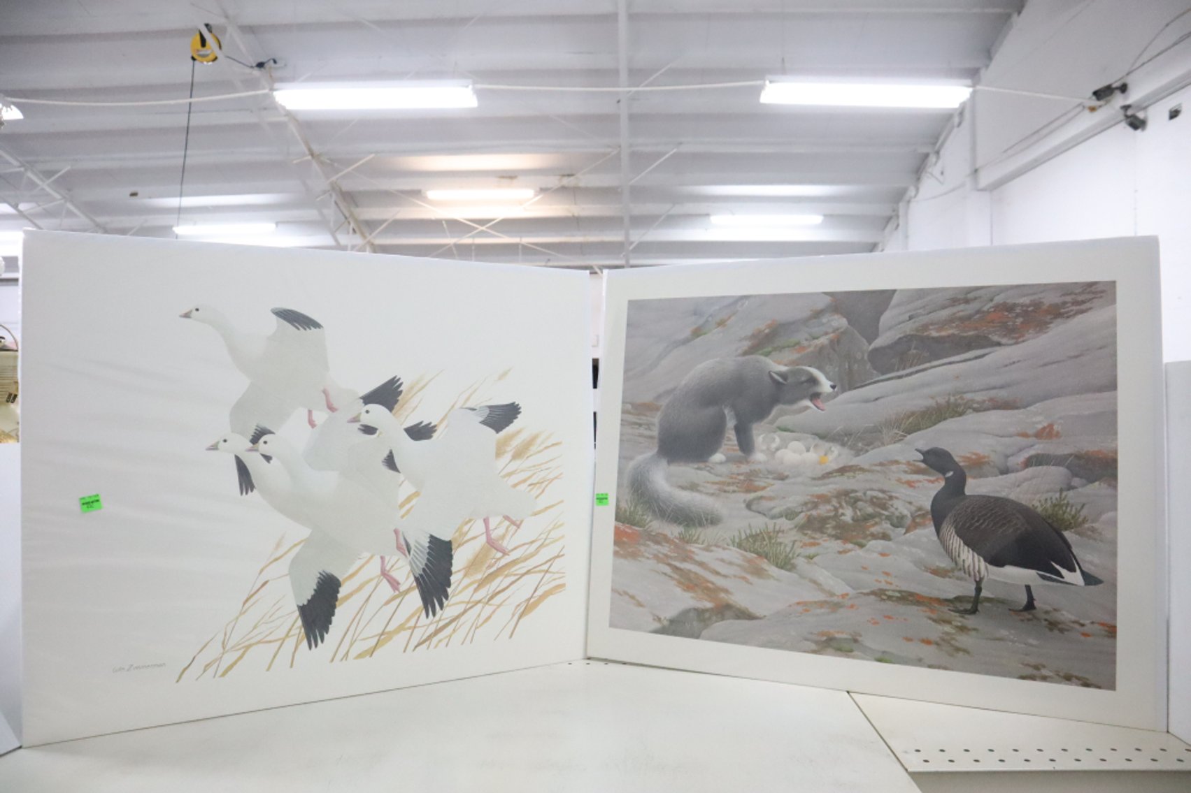 Image for Hidden Treasures Gallery #3117