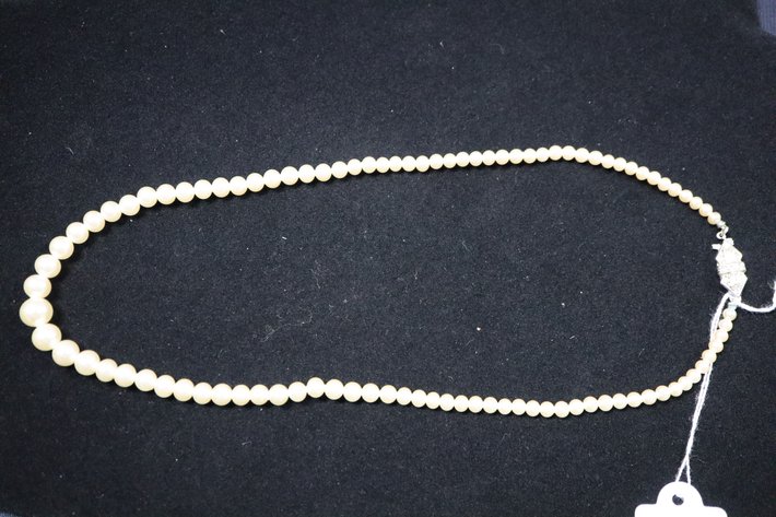 Image for Tinkling Spring Gallery #220