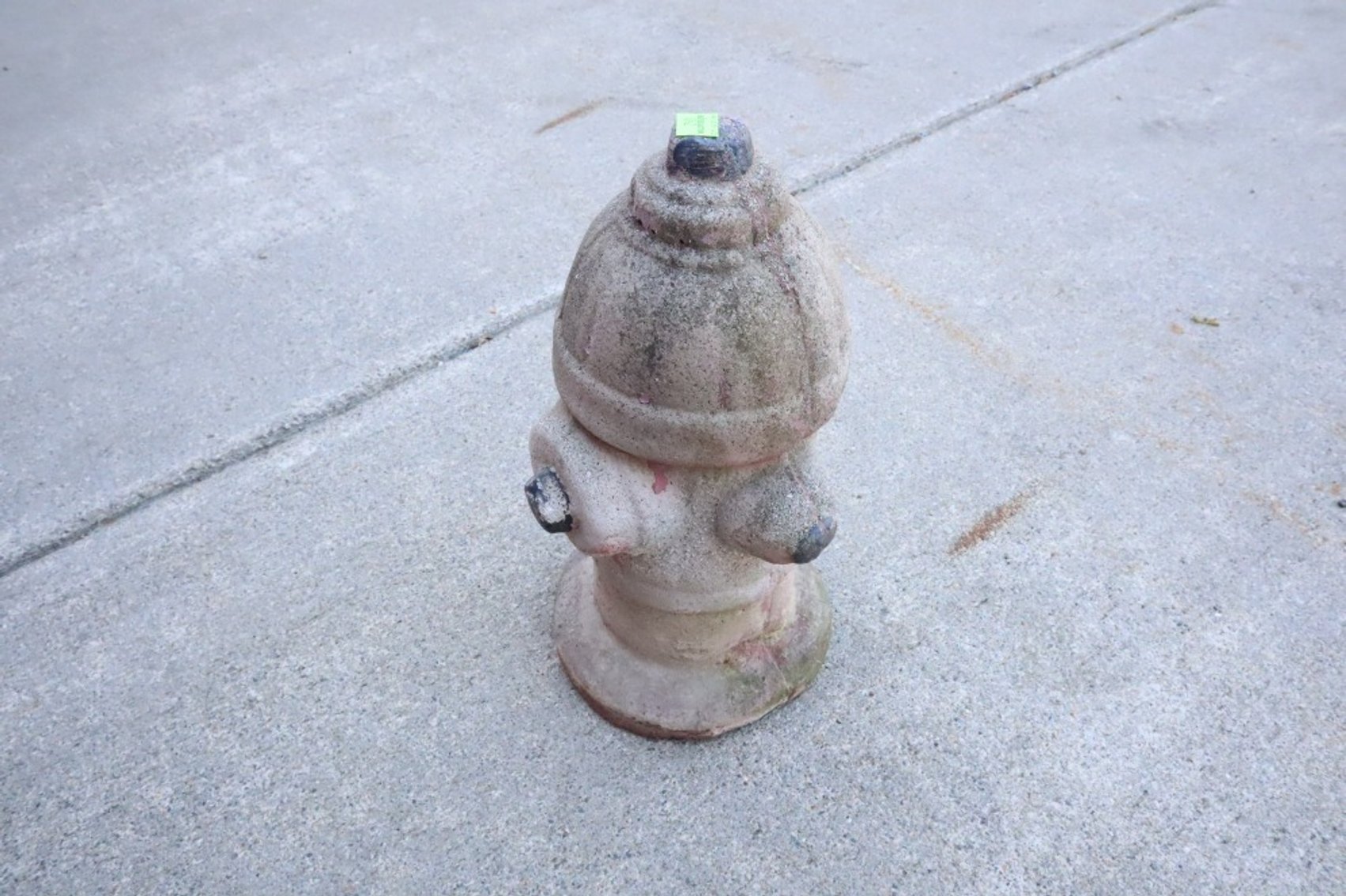 Image for Cold Springs Gallery #2119