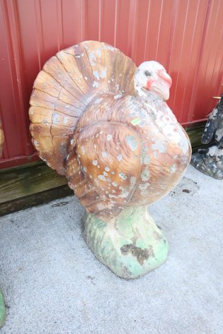 Image for Cold Springs Gallery #2119