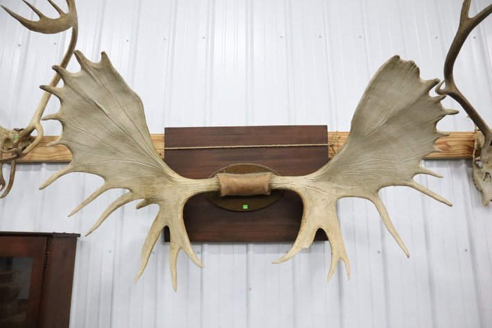 Image for Cold Springs Gallery #2119