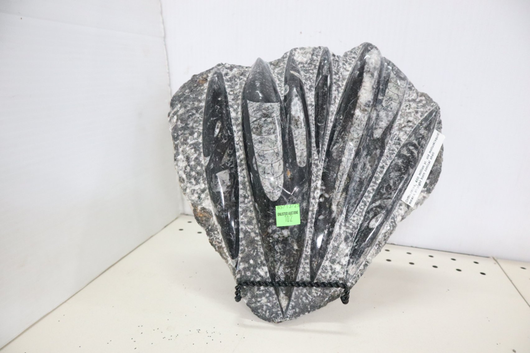 Image for Hidden Treasures Gallery #3121