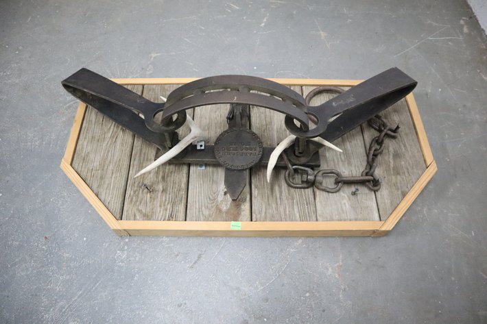 Image for Hidden Treasures Gallery #3123