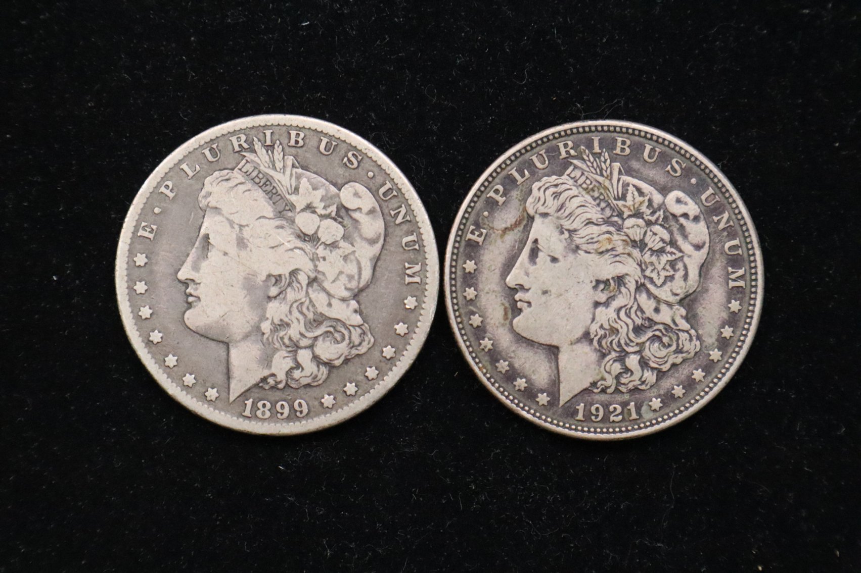 Image for Cold Springs Gallery #2126