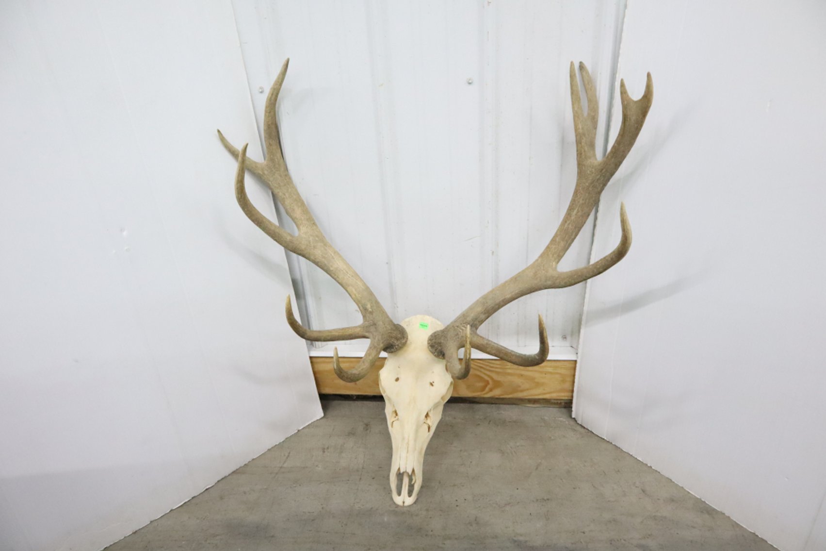 Image for Cold Springs Gallery #2128