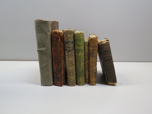 Image for Tinkling Spring Gallery #241