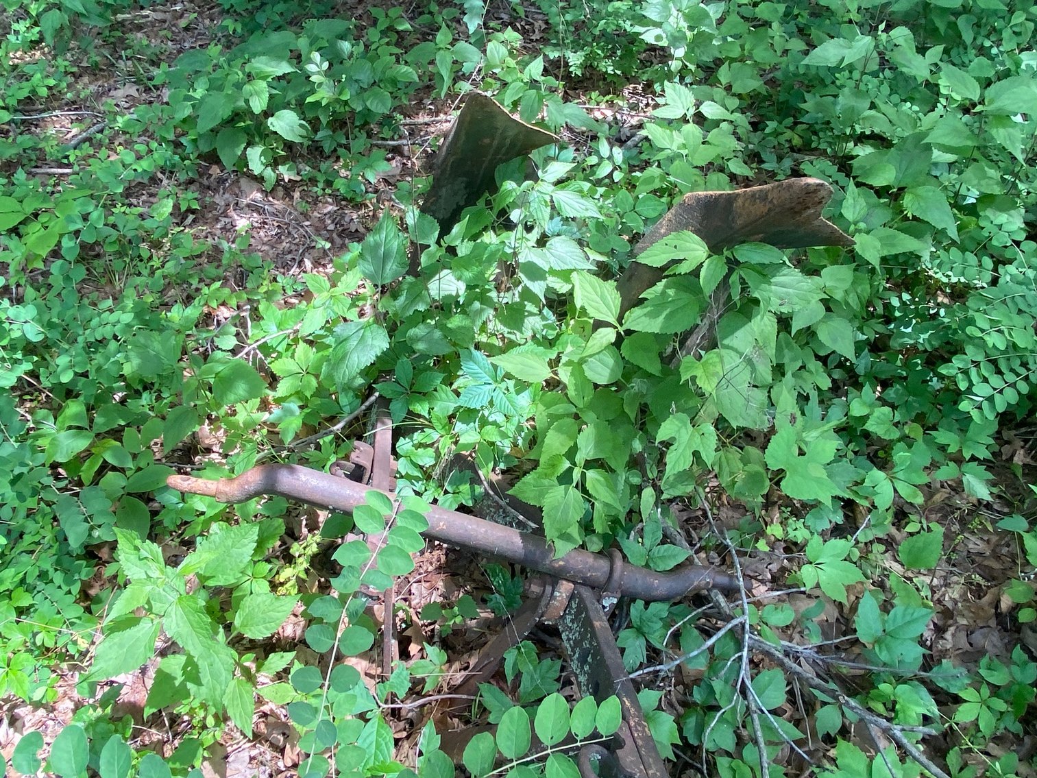 Image for Absolute Estate Auction • 724 Country Road, Grand Rivers, KY