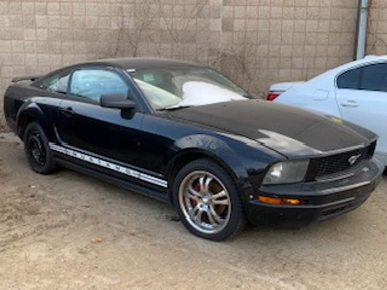 Image for Saint Paul Police Impound