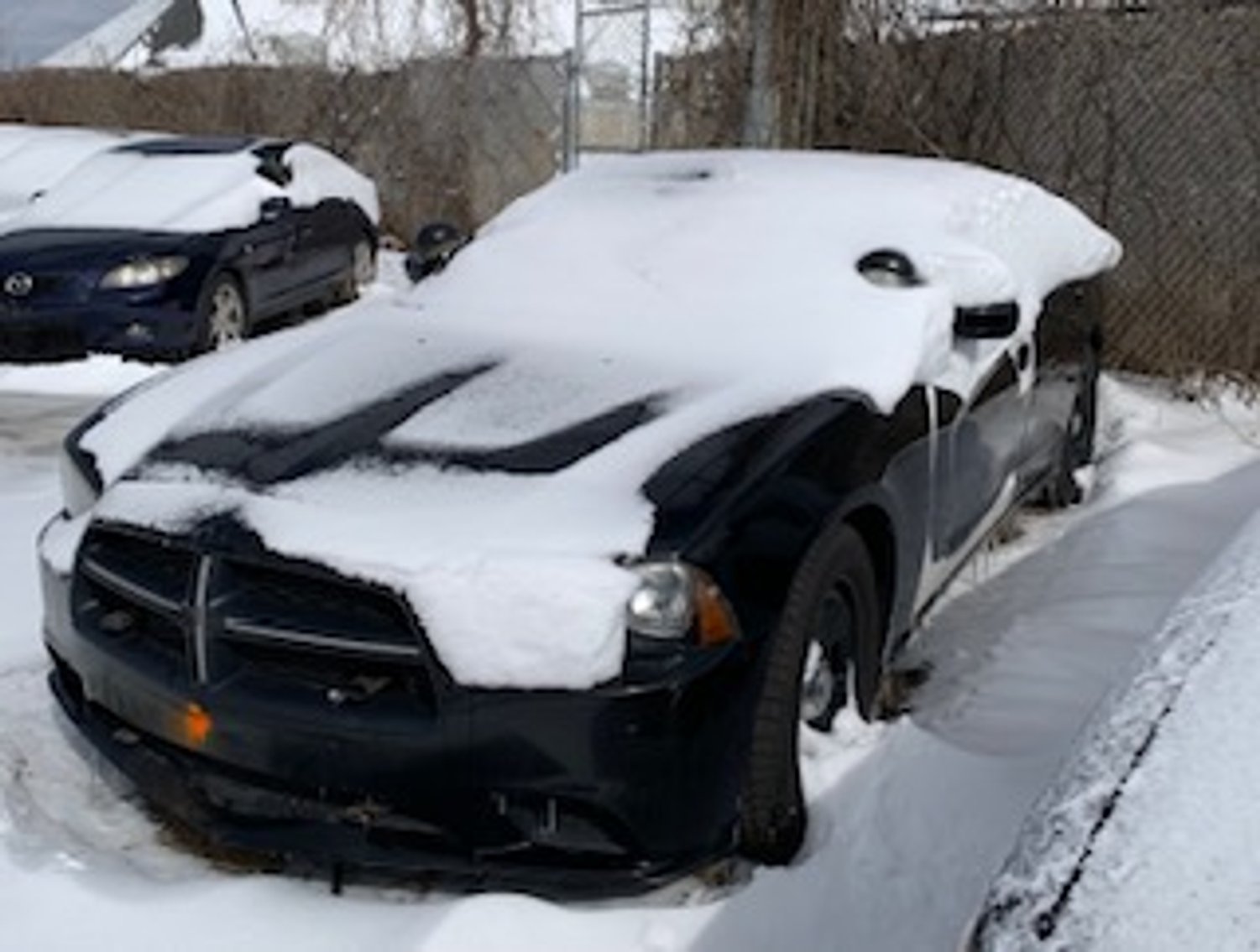 Image for Saint Paul Police Impound