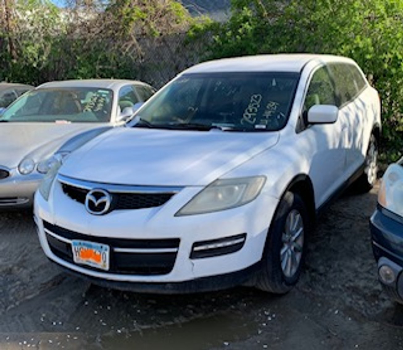 Image for Saint Paul Police Impound