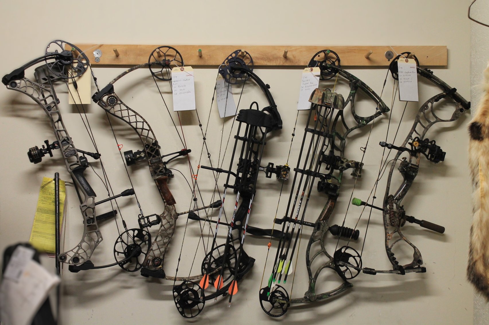 Image for Minnesota DNR Auction Part 1