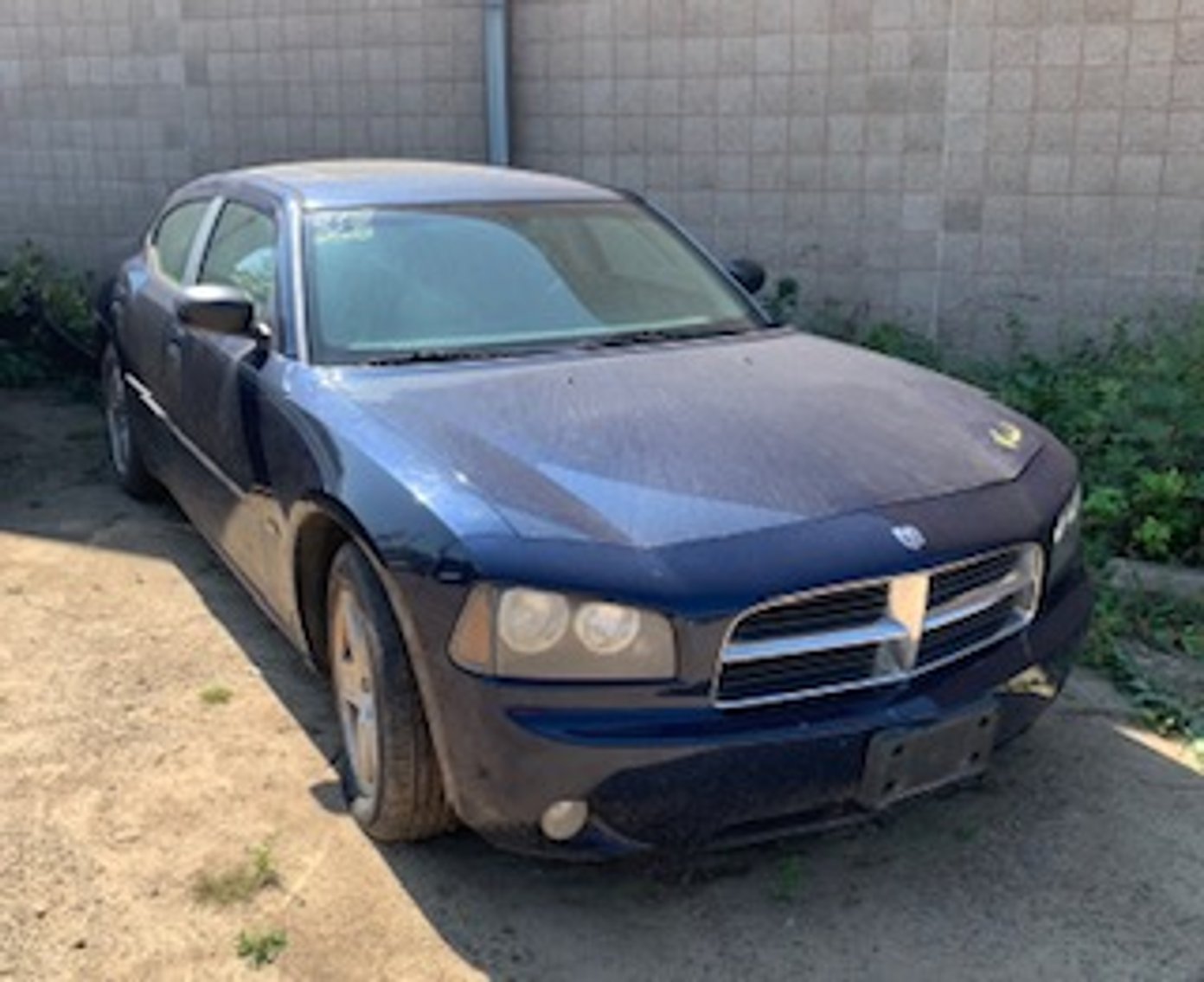 Image for Saint Paul Police Impound