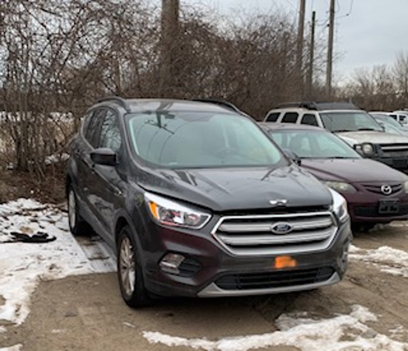 Image for Saint Paul Police Impound