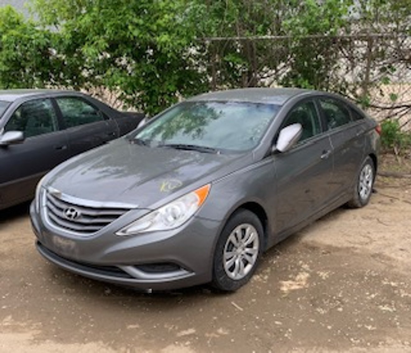 Image for Saint Paul Police Impound