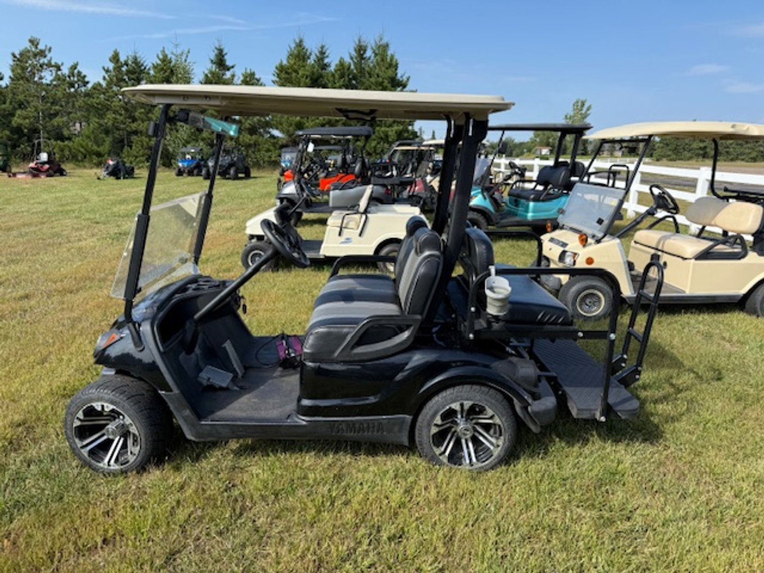 Image for September 2025 Consignments