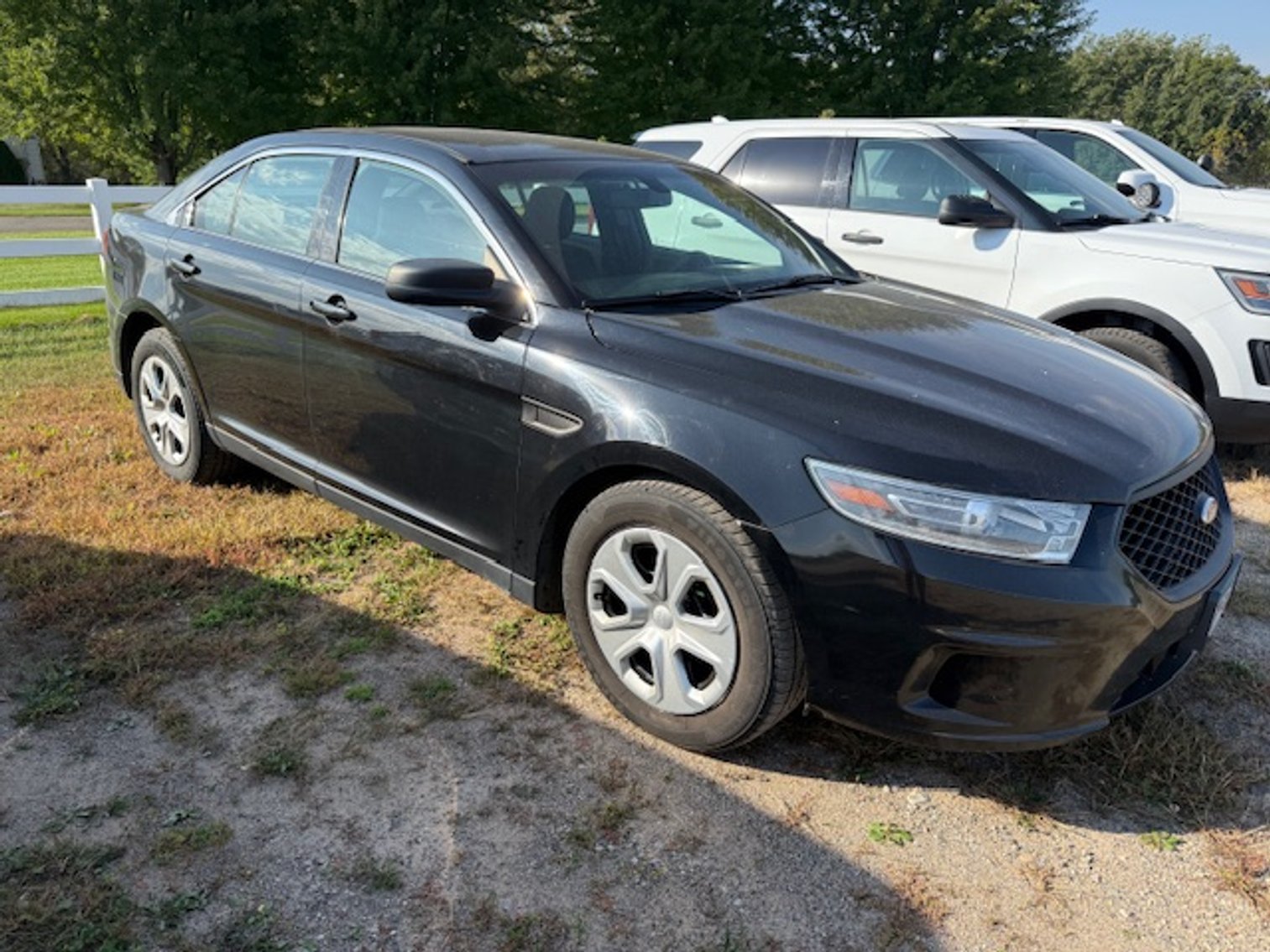 Image for October 2025 Consignments