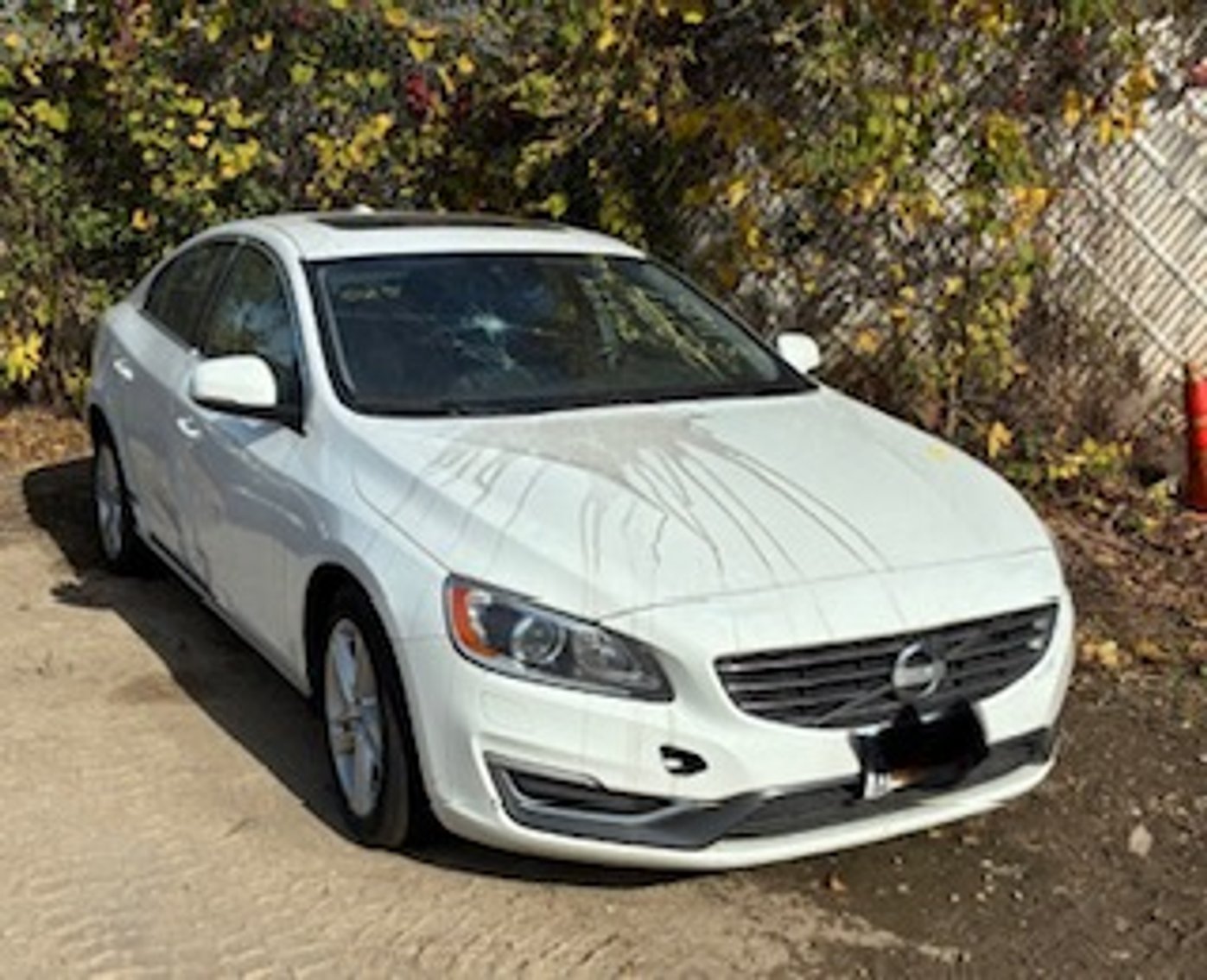 Image for Saint Paul Police Impound