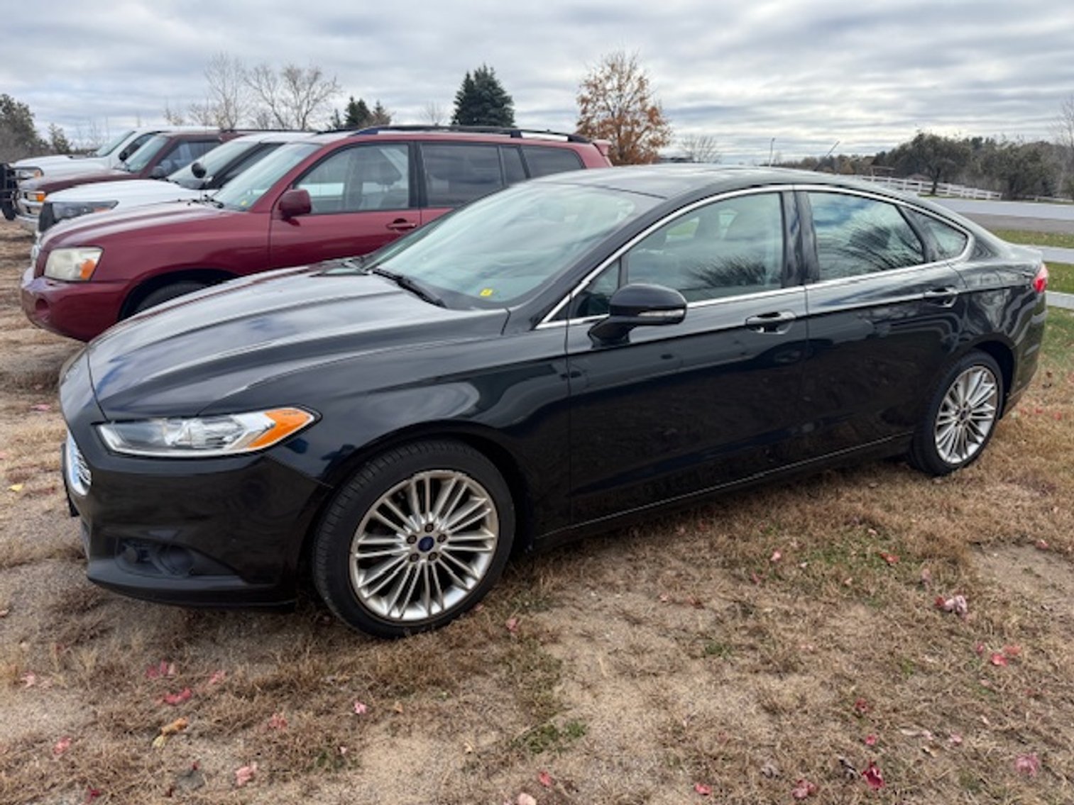 Image for November 2025 Consignments