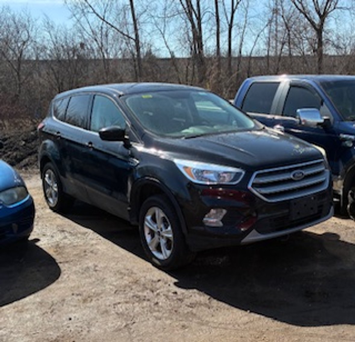 Image for Saint Paul Snow Emergency