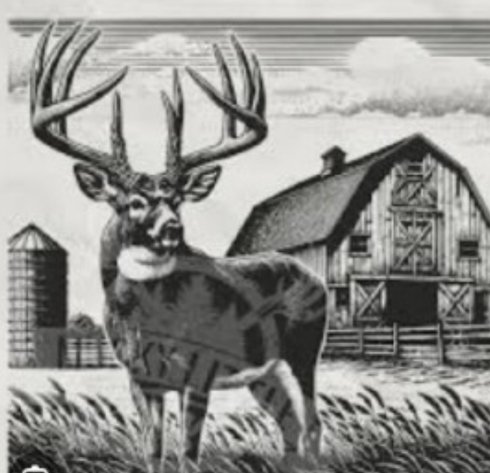 Image for Sold, Sold, Sold, Sold,***Florence,  WI *** Sept 6, 2025 *** 40 +/- Acres & Home/Barn - Being Sold To The Highest Bidder! Court Ordered!