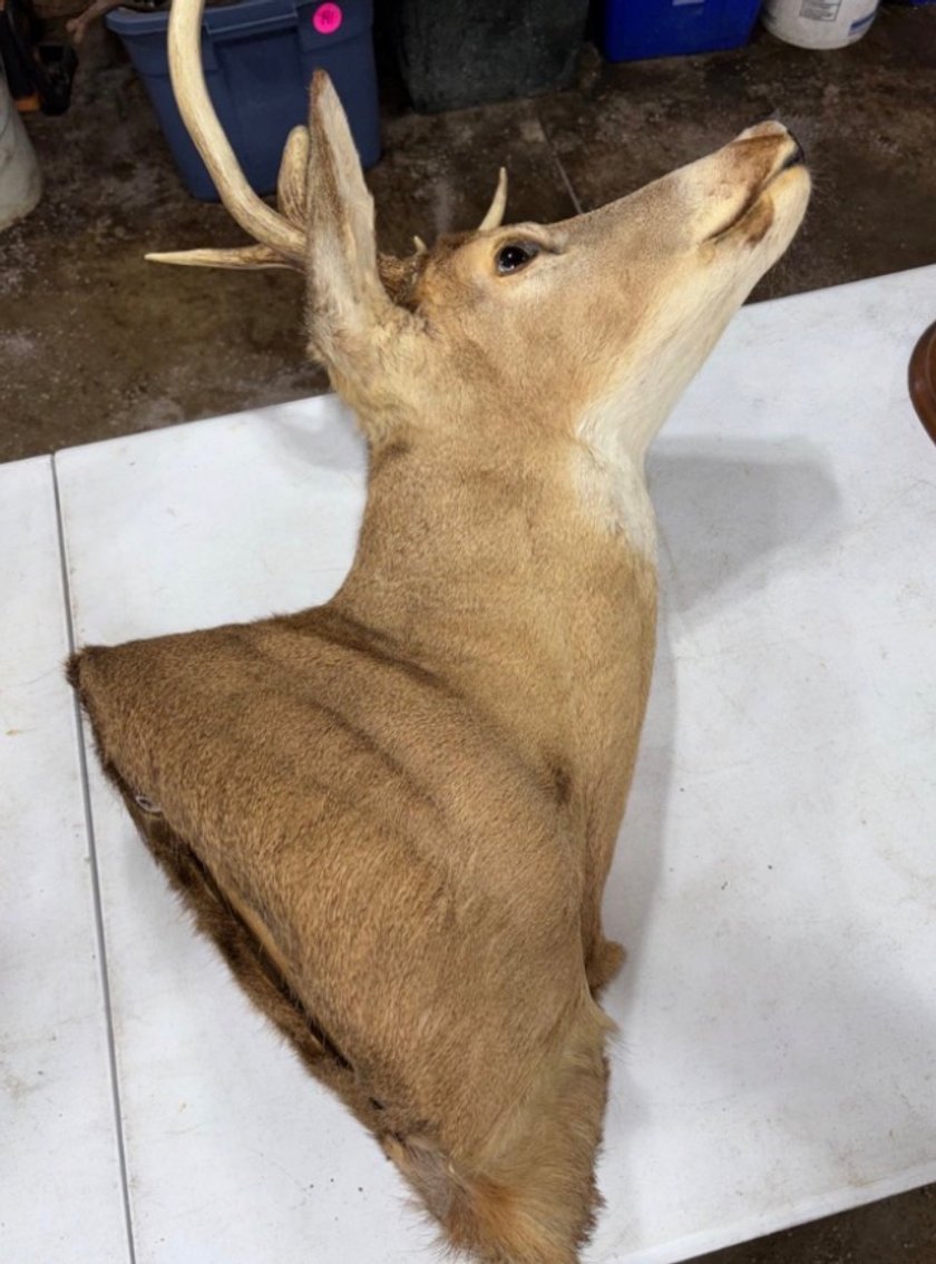 Image for VEHICLES & MORE FROM RICHARD L ROSE ESTATE