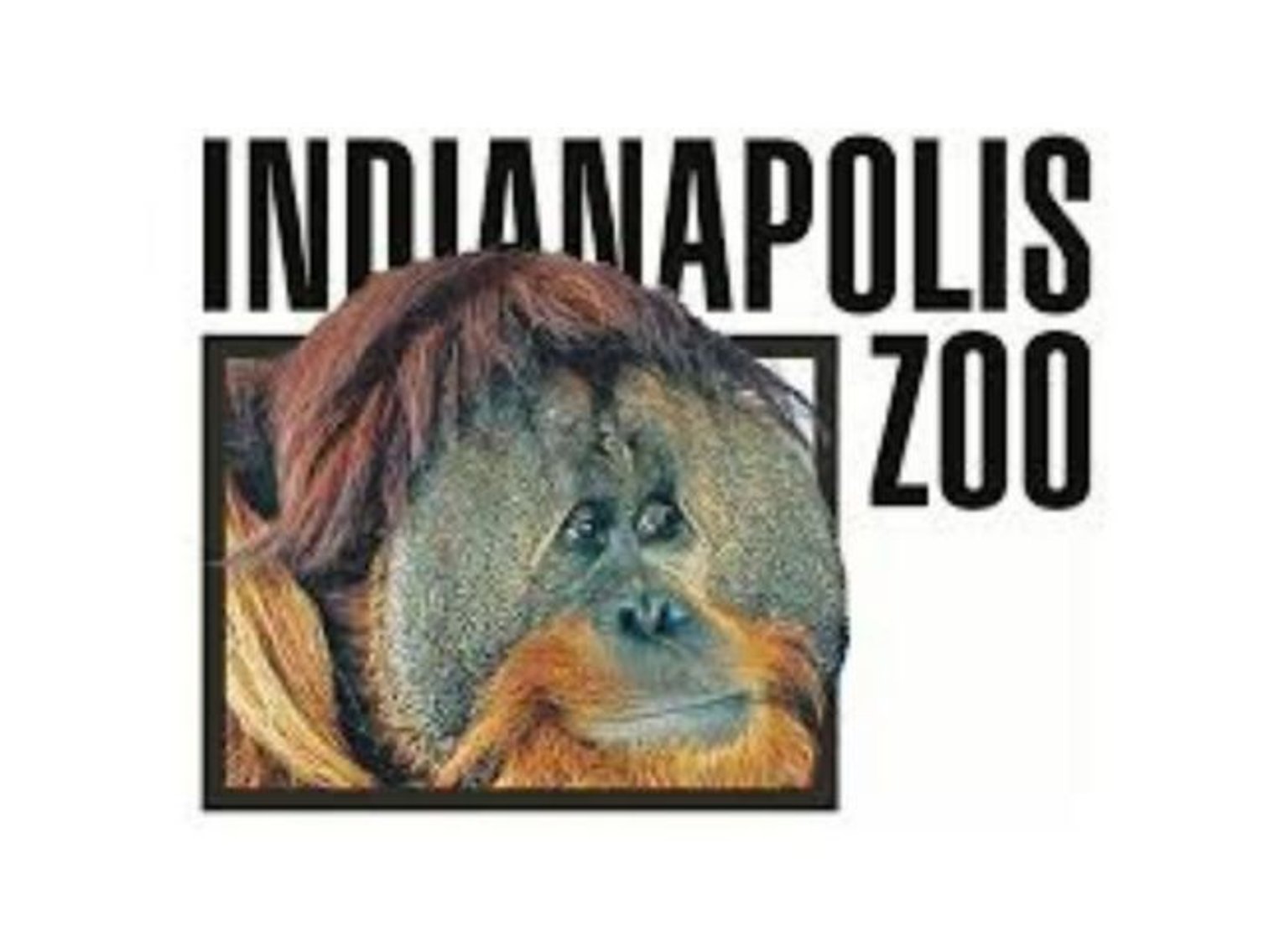 Image for 2025 Connersville FFA Seed & Benefit Auction