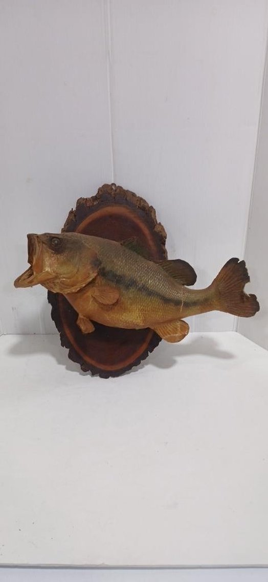 Image for 2025 Fall Outdoor Sportsman Auction