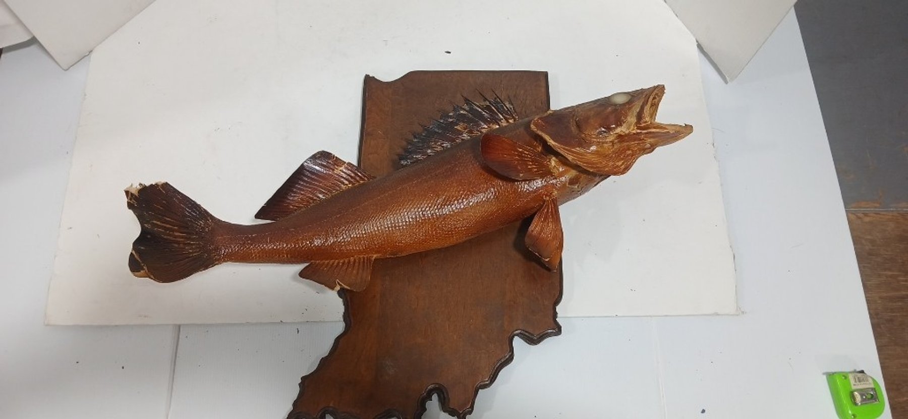 Image for 2025 Fall Outdoor Sportsman Auction