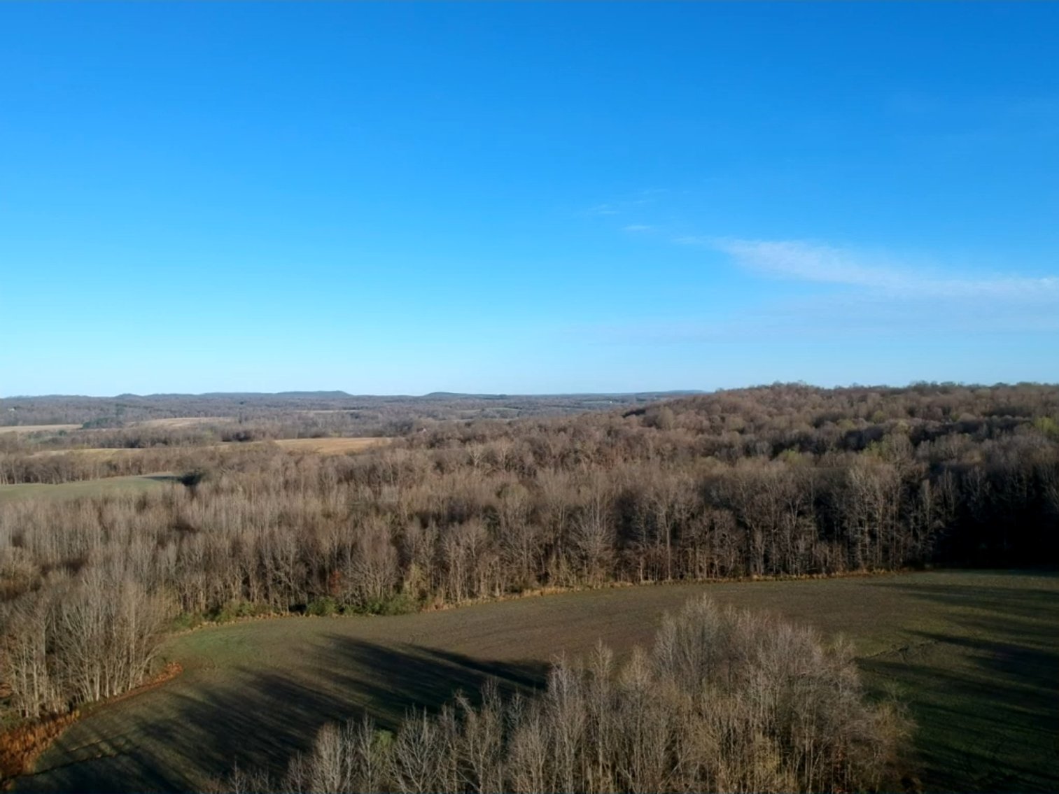 Image for The Wright Family Land Auction