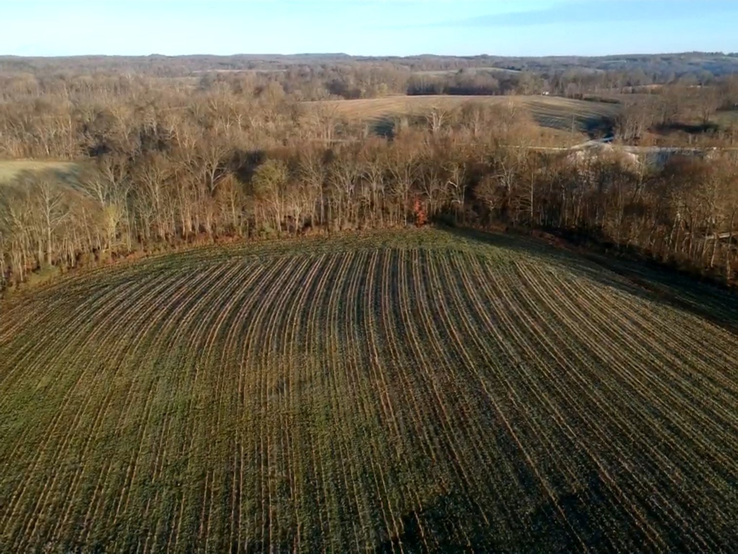 Image for The Wright Family Land Auction