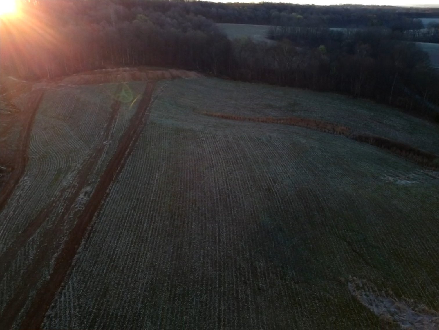 Image for The Wright Family Land Auction