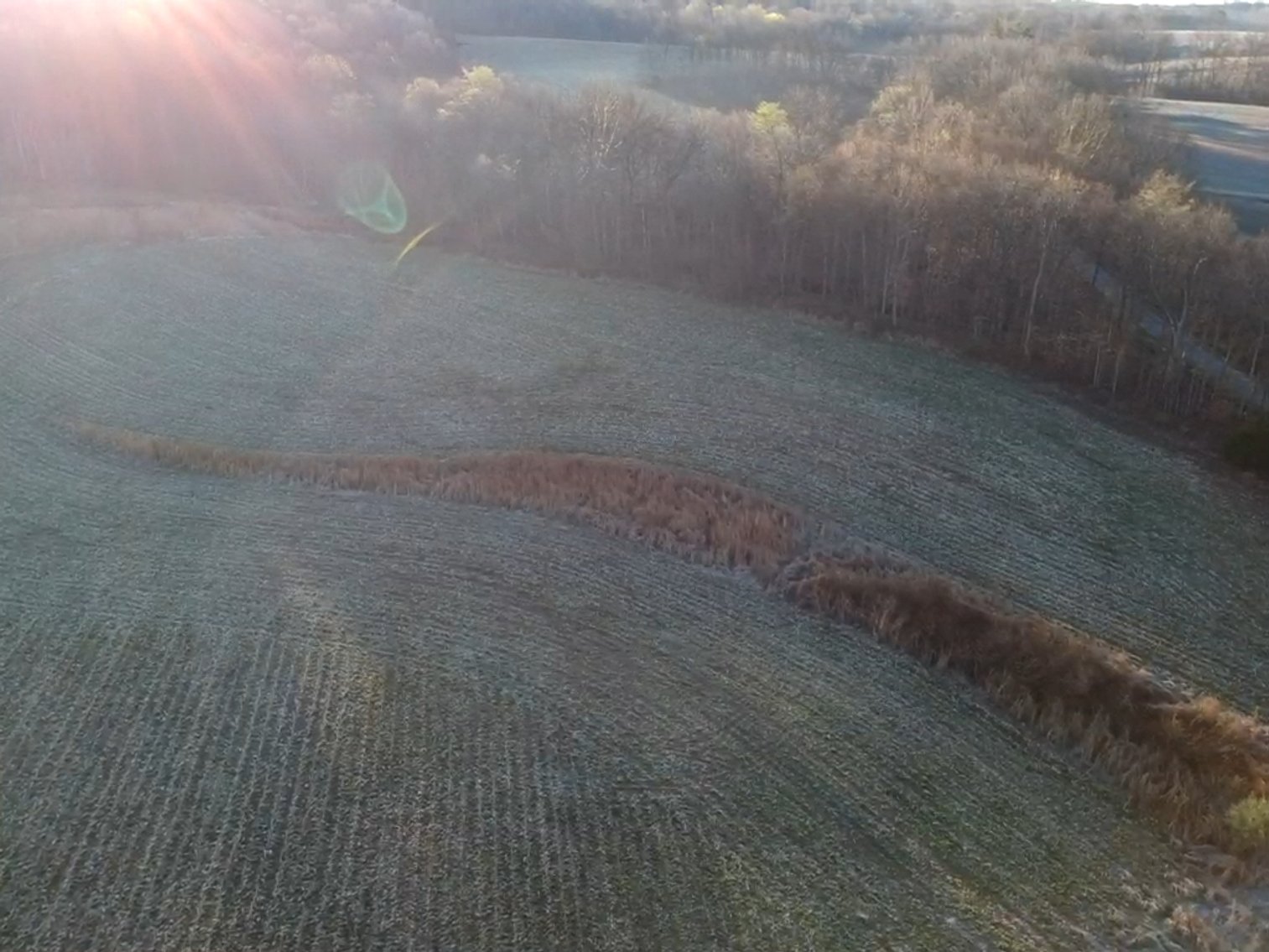 Image for The Wright Family Land Auction